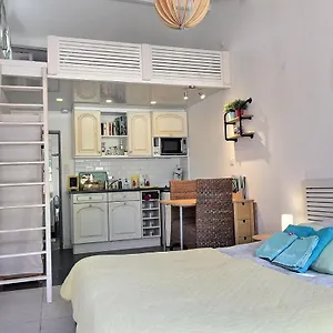 Le Petit Paradis - La Provençale , Lorgues France